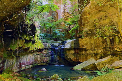 Glimpse Of The Outback 5 Day Tour - Roma And Surrounds - Accommodation Gold Coast 0
