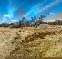 Goldseekers track - Accommodation Gold Coast