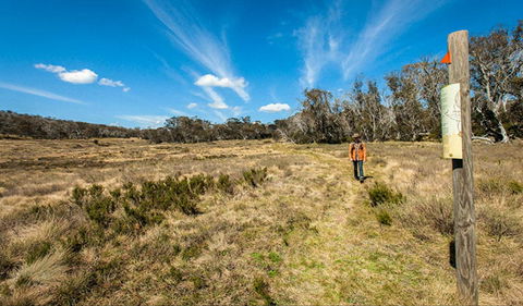 Goldseekers Track - Accommodation Gold Coast 0