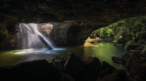 Gondwana Rainforests Of Australia World Heritage Area - Accommodation Gold Coast 0