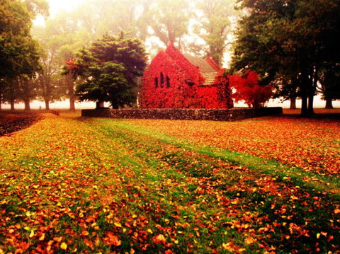 Gostwyck Chapel - Accommodation Gold Coast 0