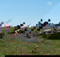 Jim Salmon  Wetland Education Site - Accommodation Gold Coast