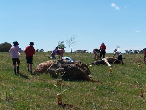 Jim Salmon  Wetland Education Site - Accommodation Gold Coast 0