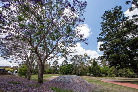 John Scott Park - Accommodation Gold Coast 0