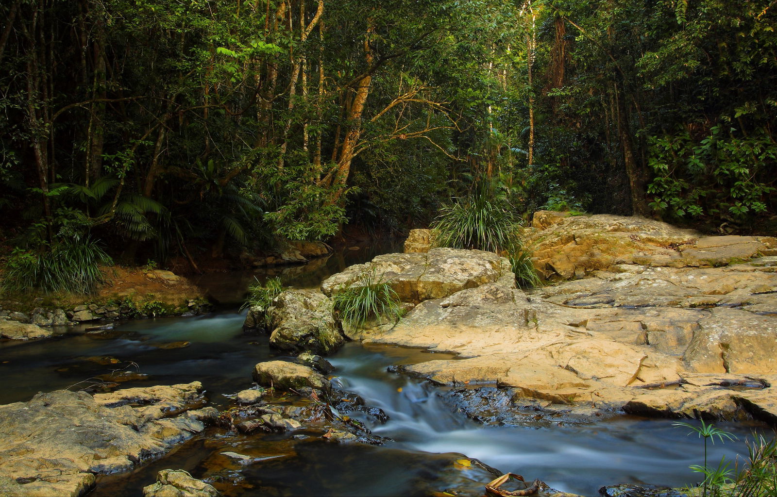 Tropical North Queensland QLD 1 Gold Coast