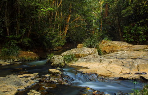 Jumrum Creek Walk, Jumrum Creek Conservation Park - Accommodation Gold Coast 0