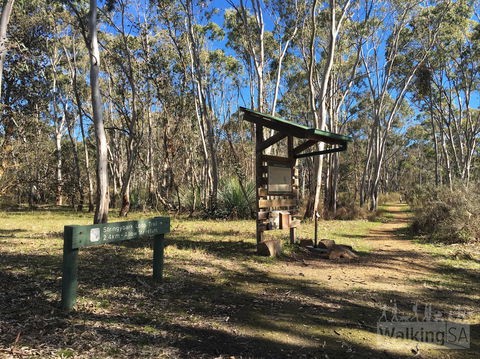 Kaiserstuhl Conservation Park - Accommodation Gold Coast 0