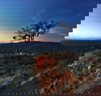 Kalamunda National Park - Accommodation Gold Coast