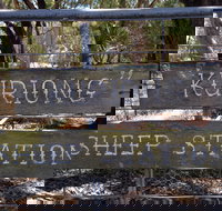 Kuriong Sheep Station - Accommodation Gold Coast