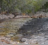 Lake Rowallan - Accommodation Gold Coast