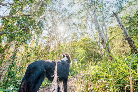 Lamb Island (Nguderoo) - Accommodation Gold Coast 1