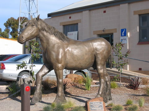 Maitland - 1 Gold Coast 0