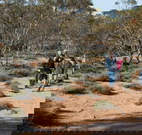 Mallee Stop walking track - Accommodation Gold Coast