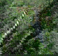 Mapleton Falls National Park - Accommodation Gold Coast