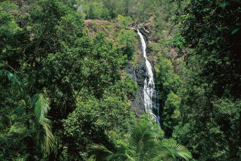Mapleton Falls National Park - Accommodation Gold Coast 0