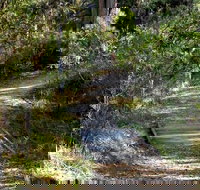 McDirtys Walking Track - Accommodation Gold Coast