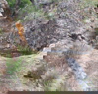 Mill-bullah Walking Track - Accommodation Gold Coast