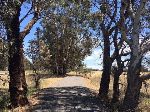 Mokoan Discovery Trail - Accommodation Gold Coast 1