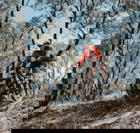 Mountain Bike Trails Deniliquin - Gold Coast 4U