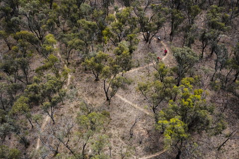 Mountain Bike Trails Deniliquin - Gold Coast 4U 1