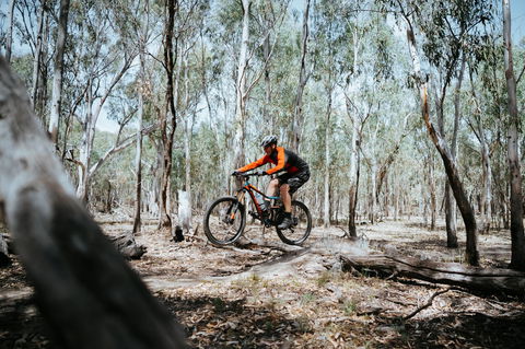 Mountain Bike Trails Deniliquin - Gold Coast 4U 2