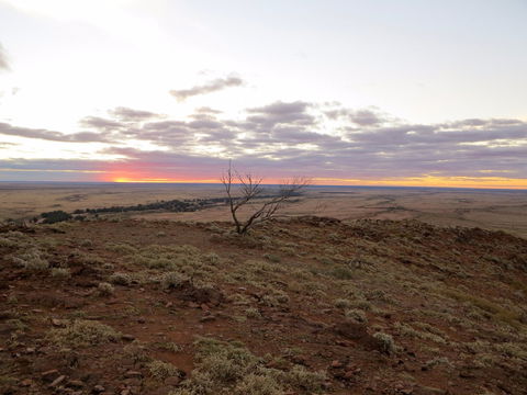 Mundi Mundi Plains - Gold Coast 4U 0