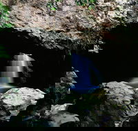 Natural Bridge Circuit Springbrook National Park - Accommodation Gold Coast