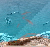 Nullarbor National Park - Accommodation Gold Coast