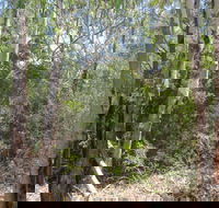 One Mile Creek shared path - 1 Gold Coast