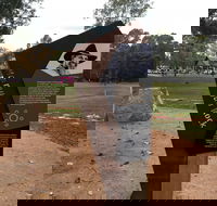 Ovens Riverside Path  Bullawah Cultural Trail - 1 Gold Coast