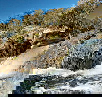 Oxley Walking Track - Accommodation Gold Coast