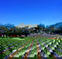 Palmview - 1 Gold Coast