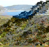 Patonga to Pearl Beach Walking Track - Accommodation Gold Coast