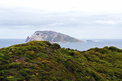 Point D'Entrecasteaux - Accommodation Gold Coast 0