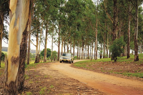 Proston - 1 Gold Coast 1