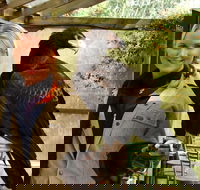 Raptor Domain - 1 Gold Coast