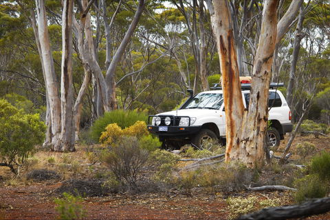 Ravensthorpe Range - Accommodation Gold Coast 0