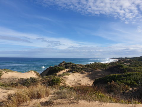 Rye Ocean Beach - Accommodation Gold Coast 0