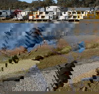 Sculpture Trail at Lake Crackenback Resort and Spa - Accommodation Gold Coast
