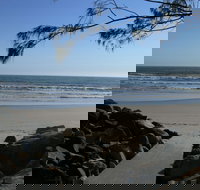 Shark Bay - Accommodation Gold Coast