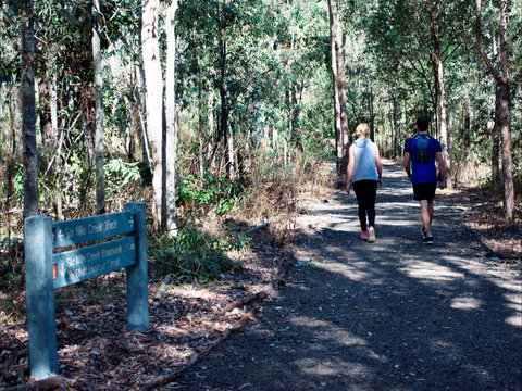 Six Mile Creek, Bluff Lookout And Little White Rock Trails - Accommodation Gold Coast 2