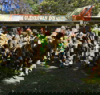 Skirmish Ulladulla - Accommodation Gold Coast