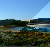 Snorkelling Broulee Island - Accommodation Gold Coast