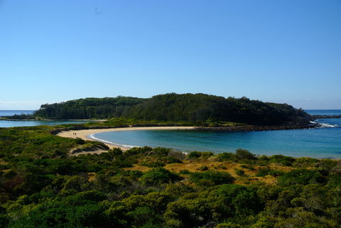 Snorkelling Broulee Island - Accommodation Gold Coast 0