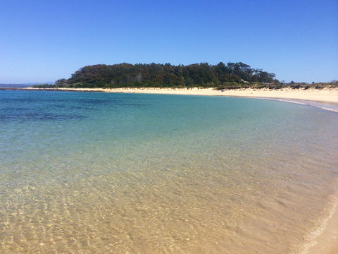 Snorkelling Broulee Island - Accommodation Gold Coast 2