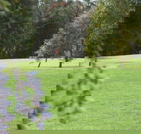 Springwood Country Club - Accommodation Gold Coast