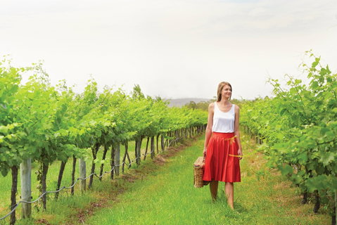 Swan Valley - Accommodation Gold Coast 0