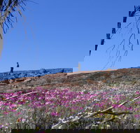 Talgomine Reserve - Accommodation Gold Coast