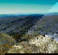 Tapin Tops National Park - Accommodation Gold Coast