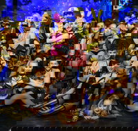 The Pink Flamingo Spiegelclub Gold Coast - Accommodation Gold Coast